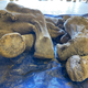 Foot pads of Nun cho ga.